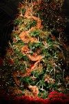 Christmas Tree at Lewis Ginter Botanical Garden