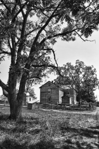 The House from the Rear