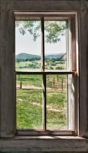 View from an Upstairs Window