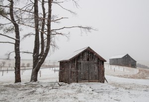 Early Mountain Winery 1