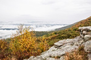 Rocks, mountains and fog 3