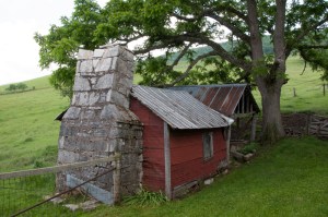 Red Shed in Blue Grass 2