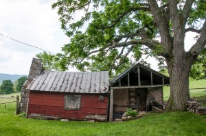Red Shed in Blue Grass