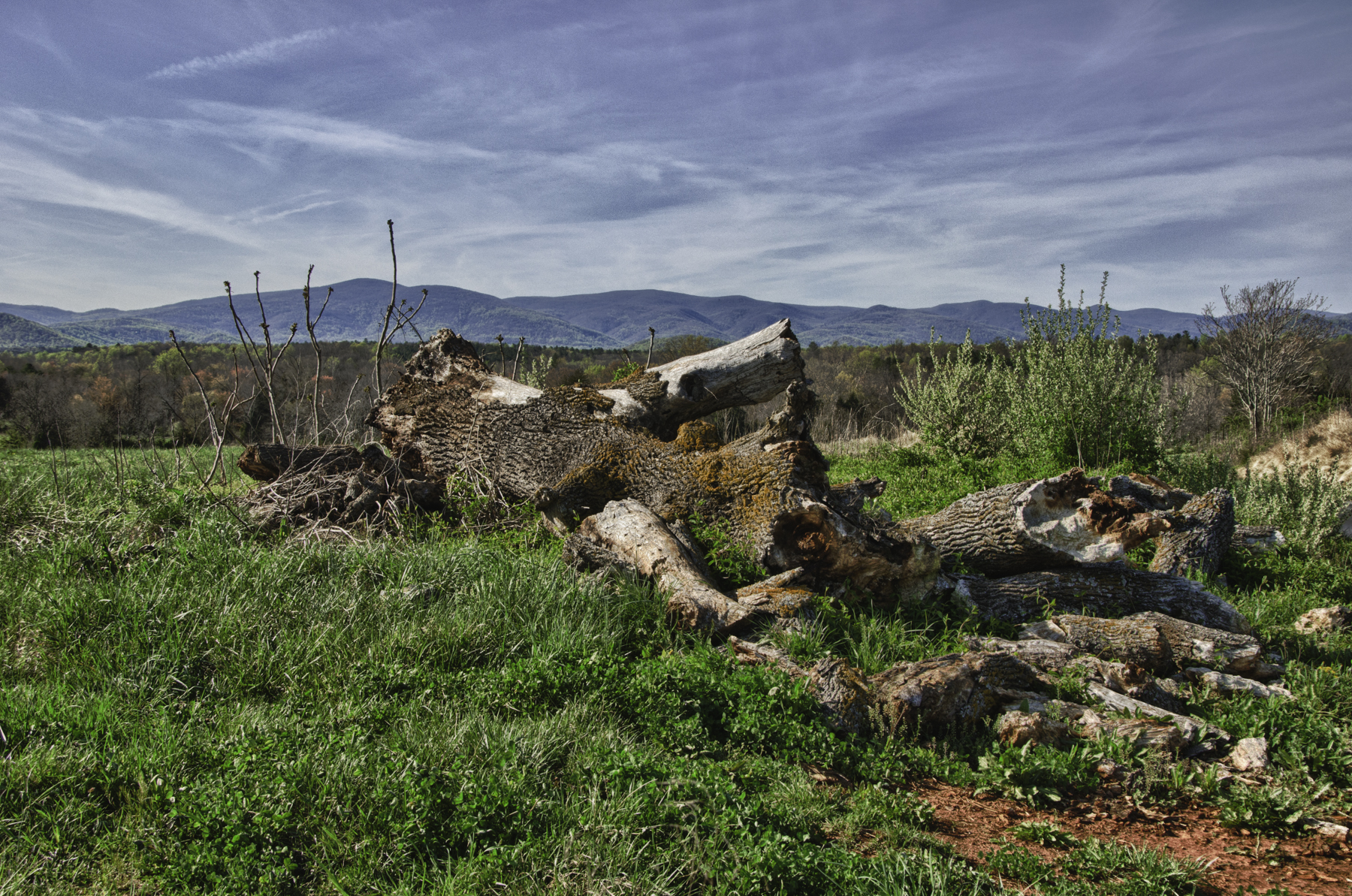 Parrott Farm Schoolhouse Field after