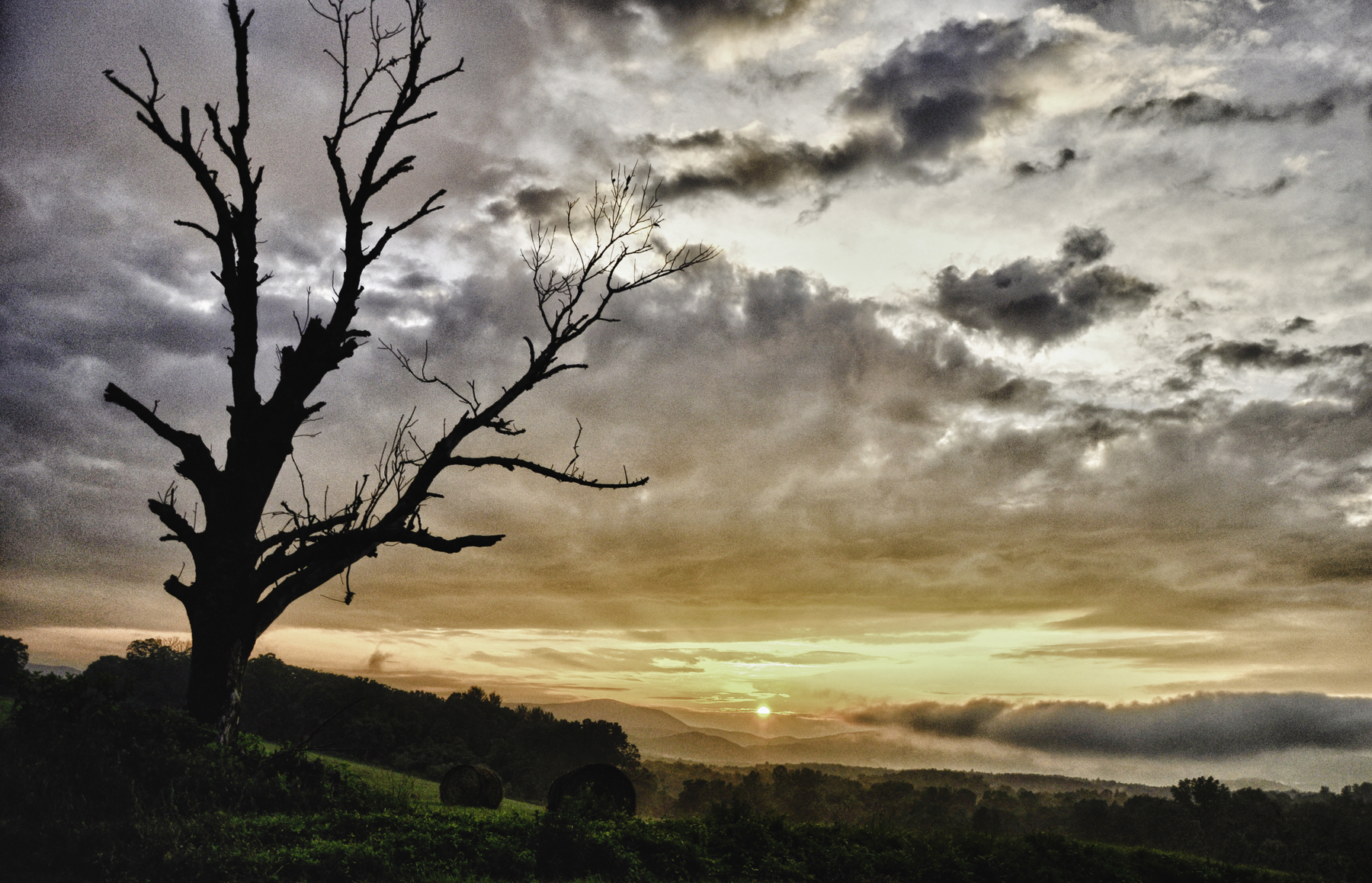 Parrott Farm Schoolhouse Field